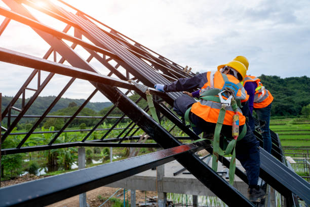 Best Best Roofing Contractors  in Wakefield, NE